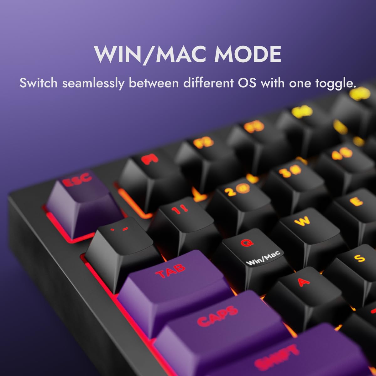 Kreo Swarm 75% Wireless Mechanical Keyboard with Pass-Through Keycaps, Advanced Web Software, Pre-lubed Switches, 5-pin Hot Swap PCB, 5 Layers Sound Absorption and Software Support - Image 6